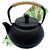 TETERA NEGRA HIERRO 600ML  A04698
